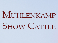 Muhlenkamp